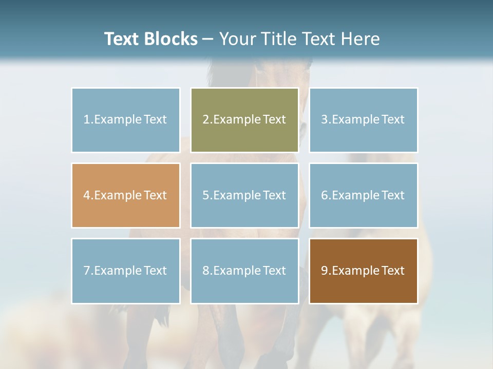 Gallop Sand Motion PowerPoint Template