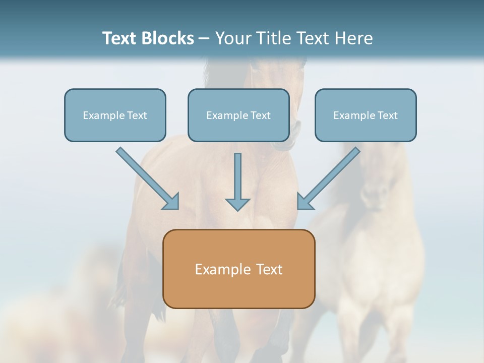 Gallop Sand Motion PowerPoint Template