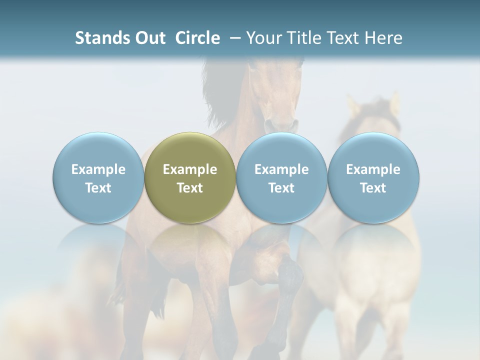 Gallop Sand Motion PowerPoint Template