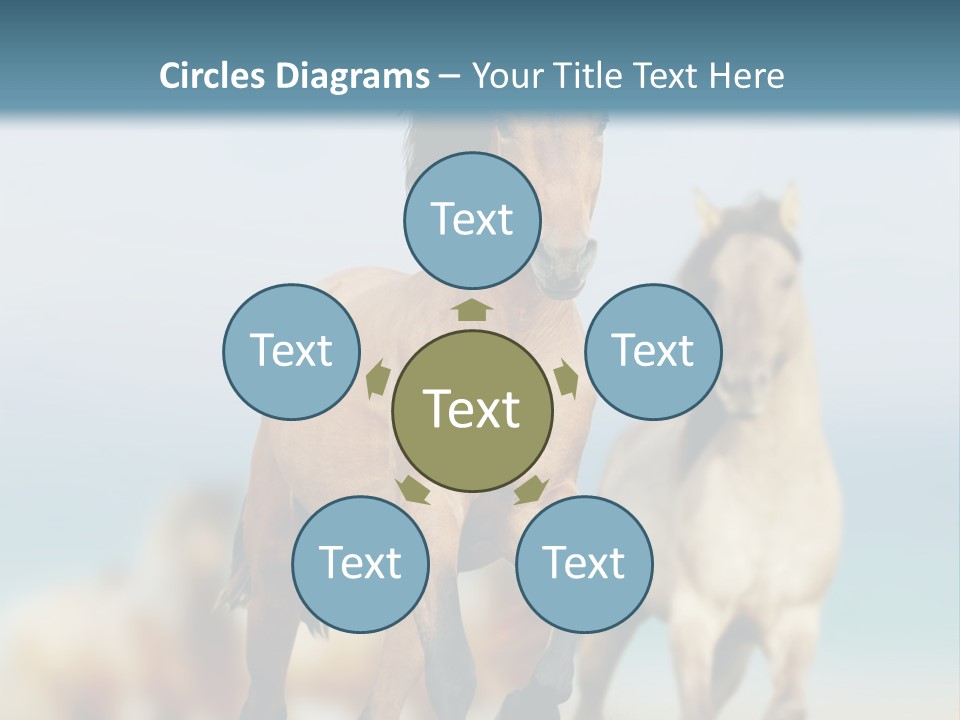 Gallop Sand Motion PowerPoint Template