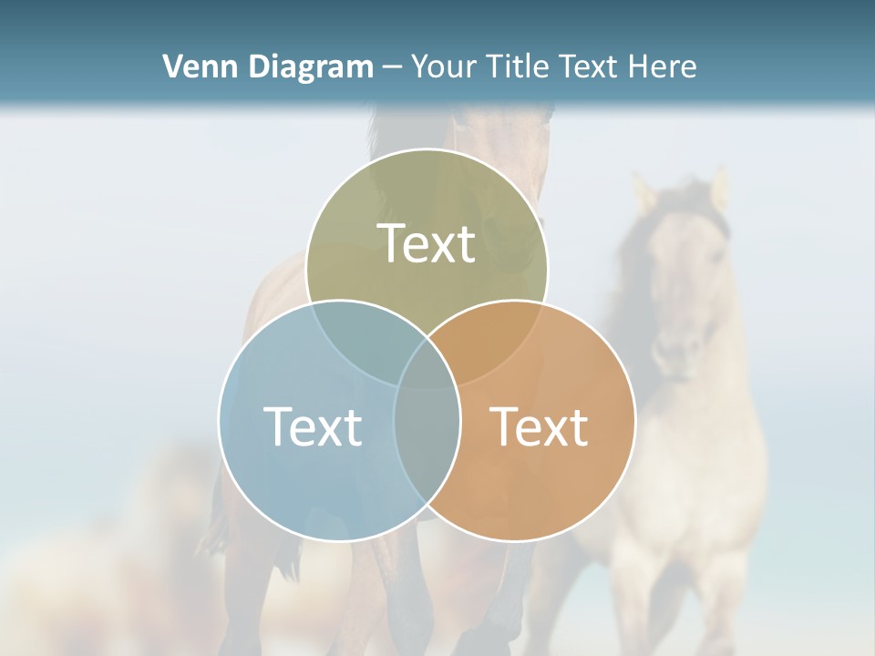 Gallop Sand Motion PowerPoint Template