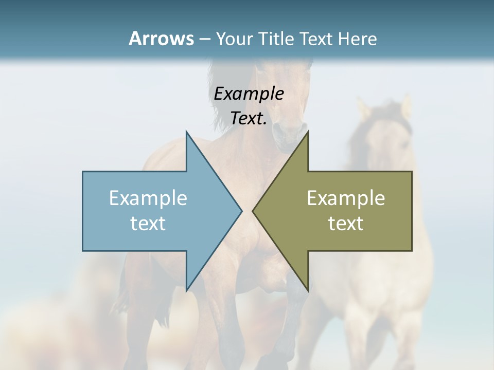 Gallop Sand Motion PowerPoint Template