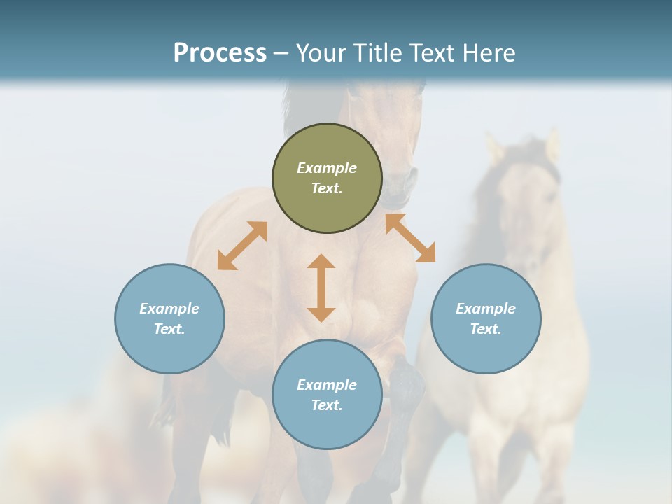 Gallop Sand Motion PowerPoint Template