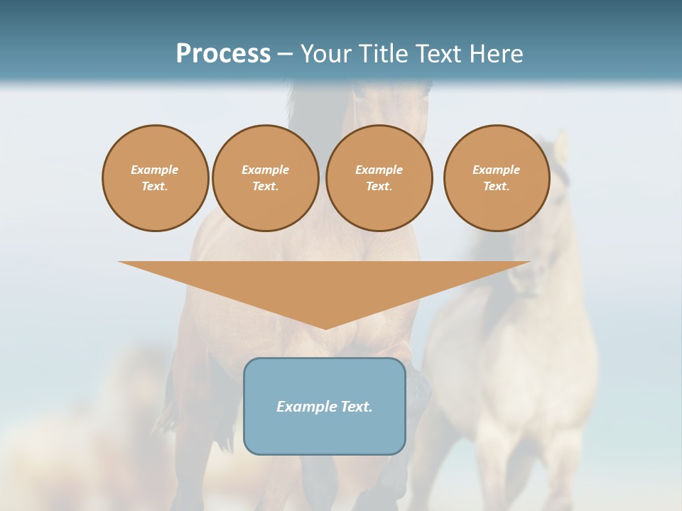 Gallop Sand Motion PowerPoint Template