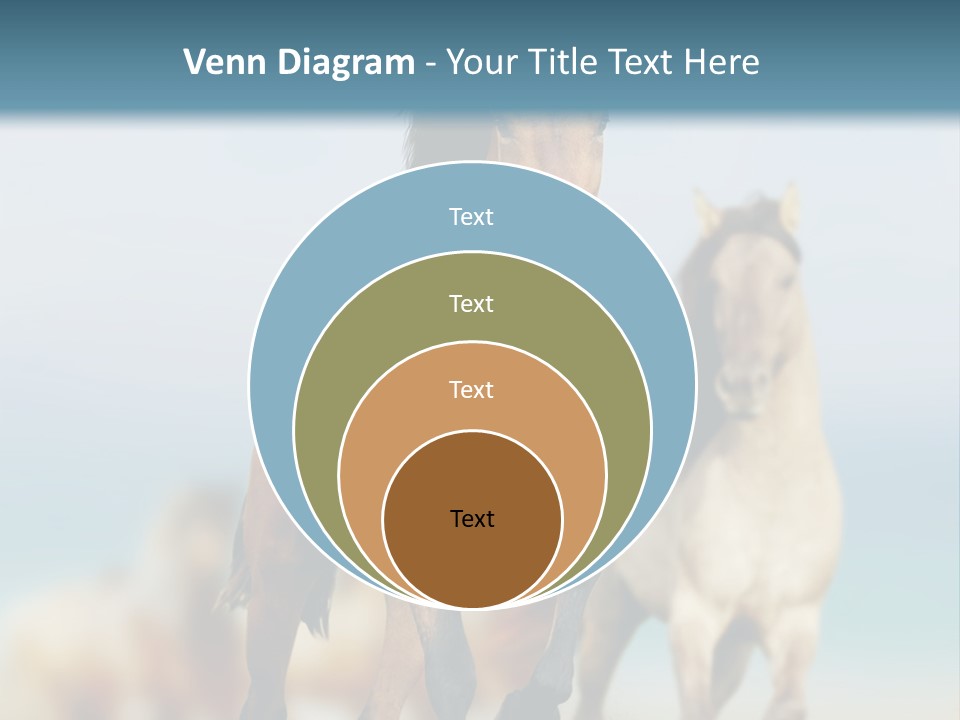 Gallop Sand Motion PowerPoint Template