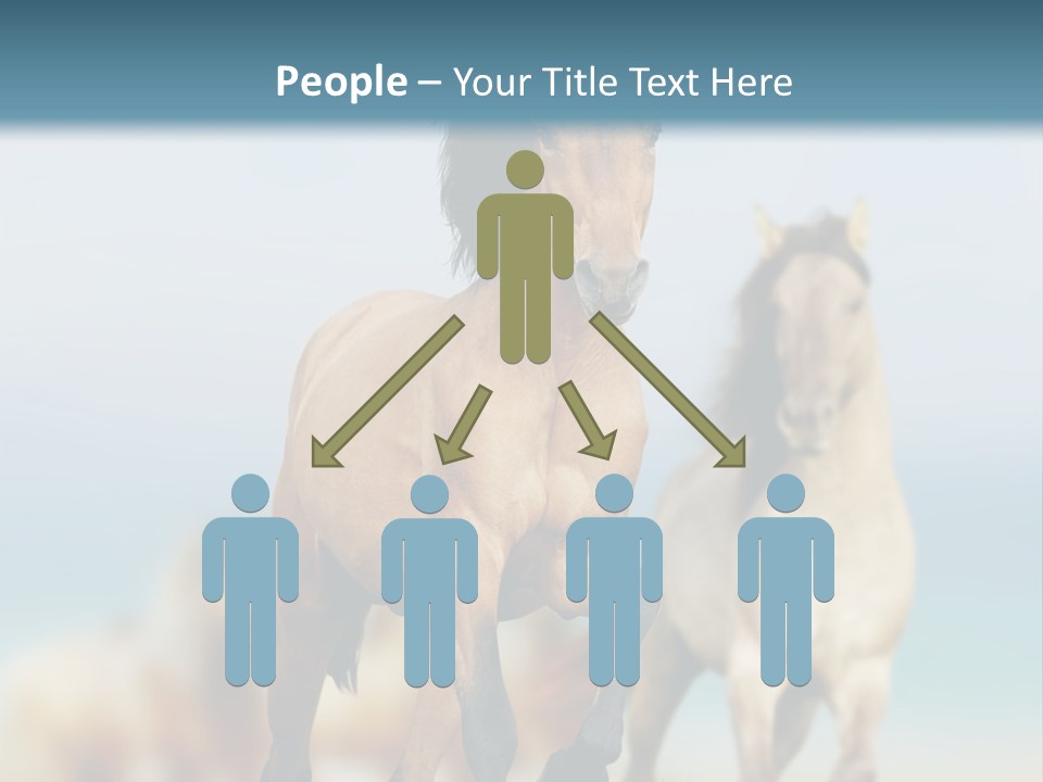 Gallop Sand Motion PowerPoint Template