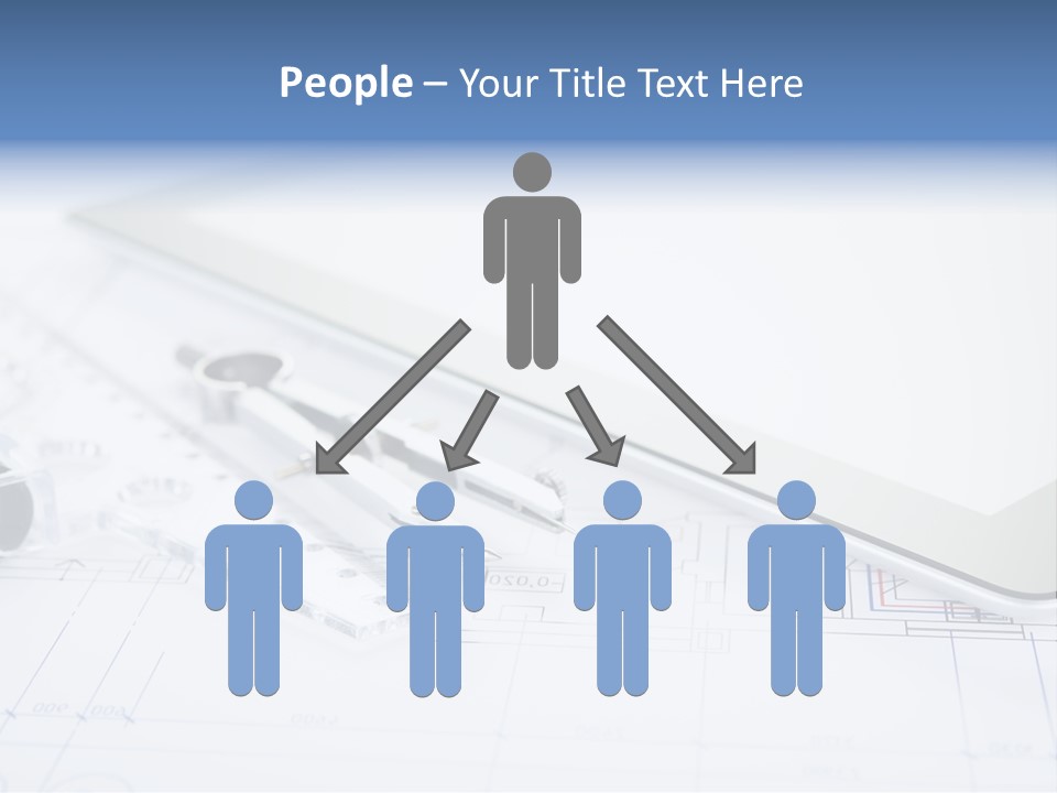 Ducks Flying Birds Wings PowerPoint Template