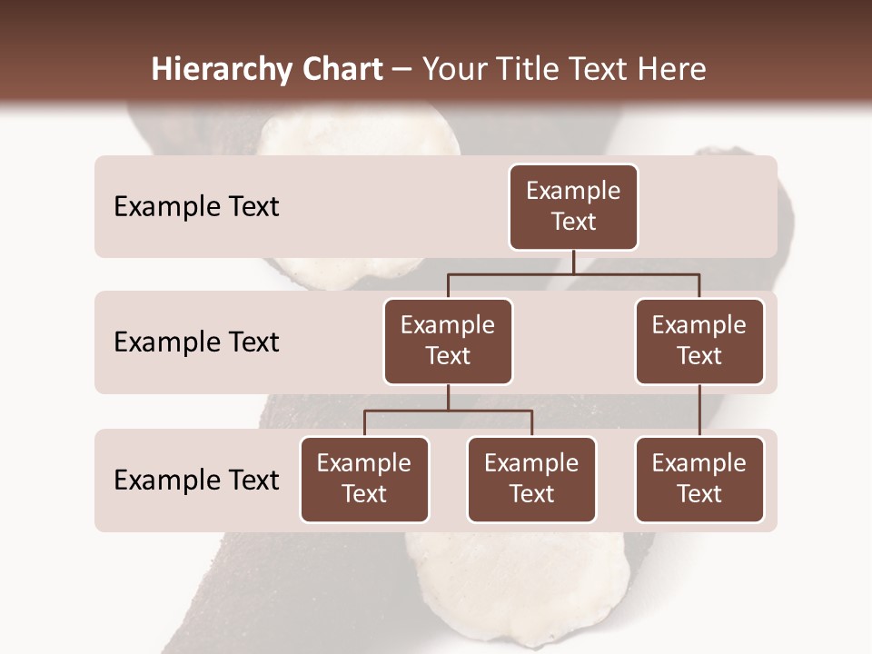 Two Cinnamons With A Bite Taken Out Of Them PowerPoint Template
