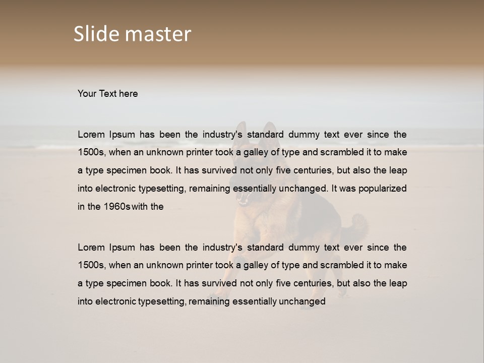 Shepherd Dog Dog Portrait At The Beach Labradoodle PowerPoint Template