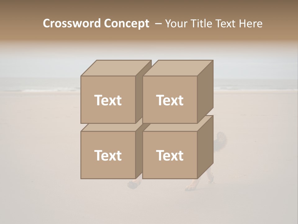 Shepherd Dog Dog Portrait At The Beach Labradoodle PowerPoint Template