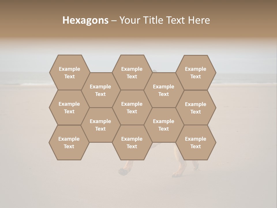 Shepherd Dog Dog Portrait At The Beach Labradoodle PowerPoint Template