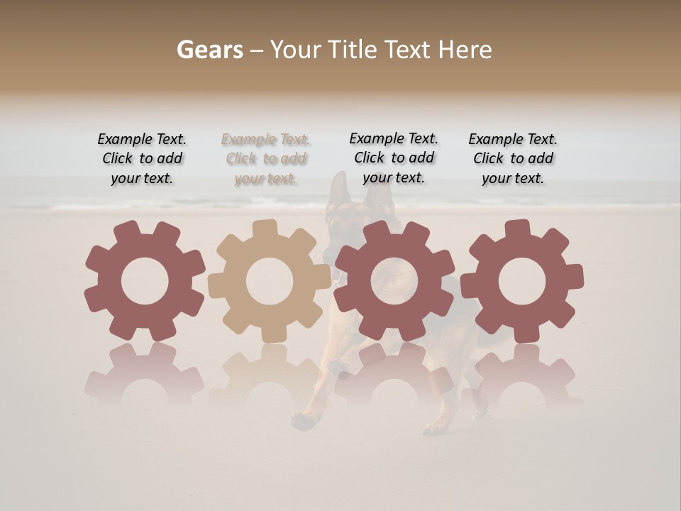 Shepherd Dog Dog Portrait At The Beach Labradoodle PowerPoint Template