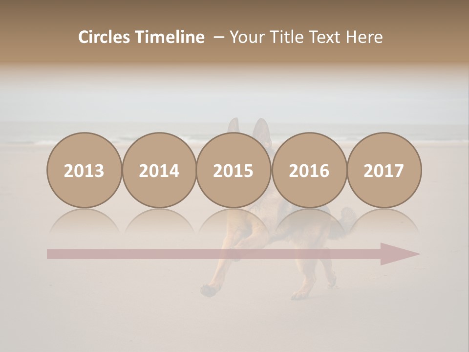 Shepherd Dog Dog Portrait At The Beach Labradoodle PowerPoint Template