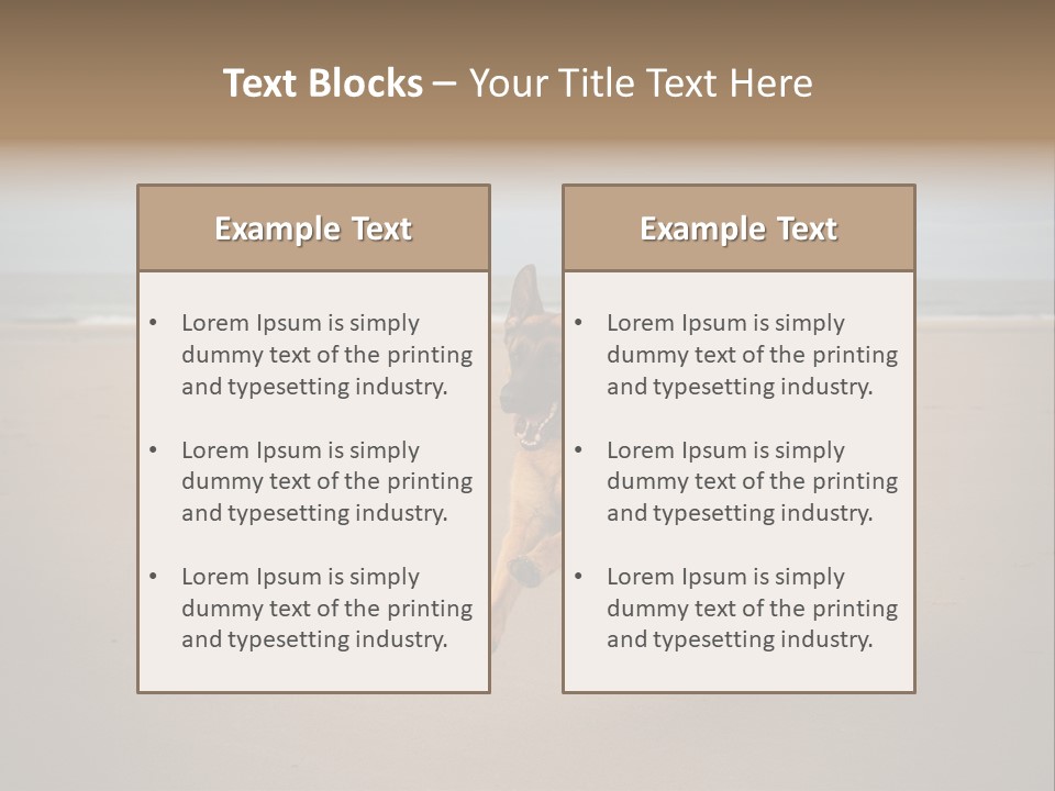 Shepherd Dog Dog Portrait At The Beach Labradoodle PowerPoint Template