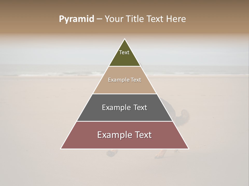 Shepherd Dog Dog Portrait At The Beach Labradoodle PowerPoint Template