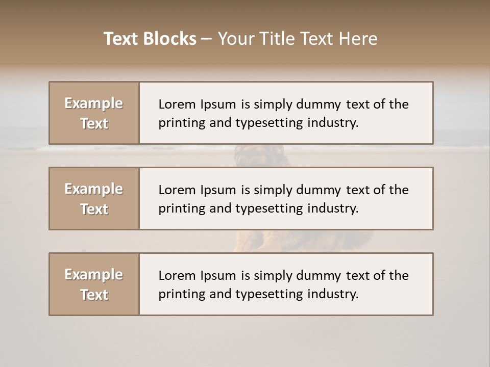Shepherd Dog Dog Portrait At The Beach Labradoodle PowerPoint Template