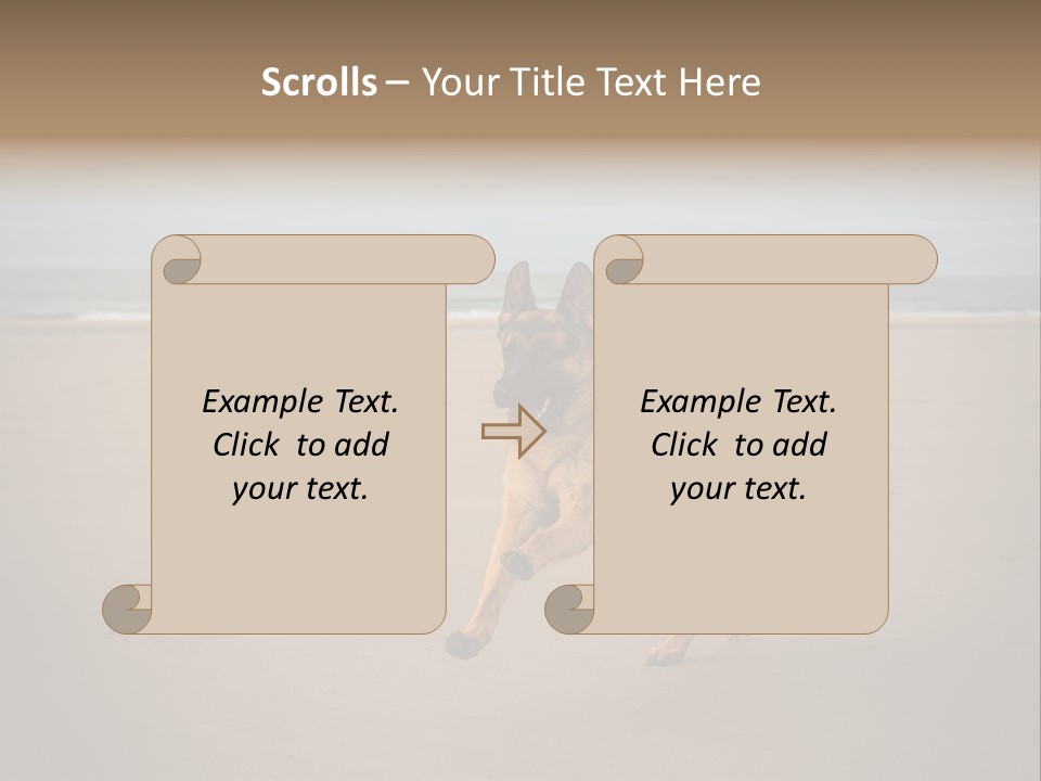 Shepherd Dog Dog Portrait At The Beach Labradoodle PowerPoint Template