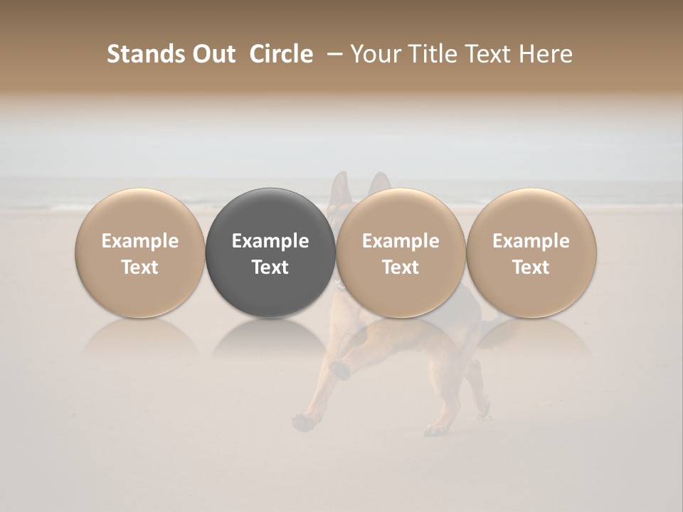 Shepherd Dog Dog Portrait At The Beach Labradoodle PowerPoint Template