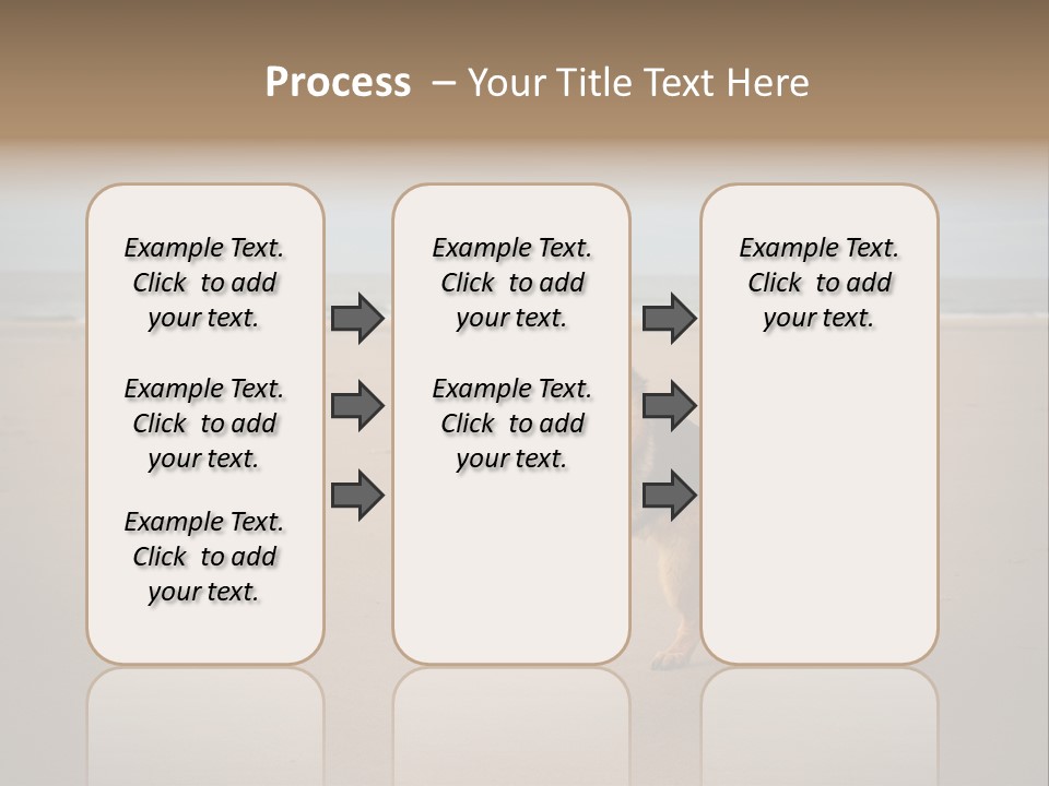 Shepherd Dog Dog Portrait At The Beach Labradoodle PowerPoint Template