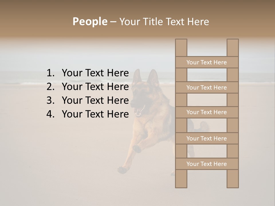 Shepherd Dog Dog Portrait At The Beach Labradoodle PowerPoint Template