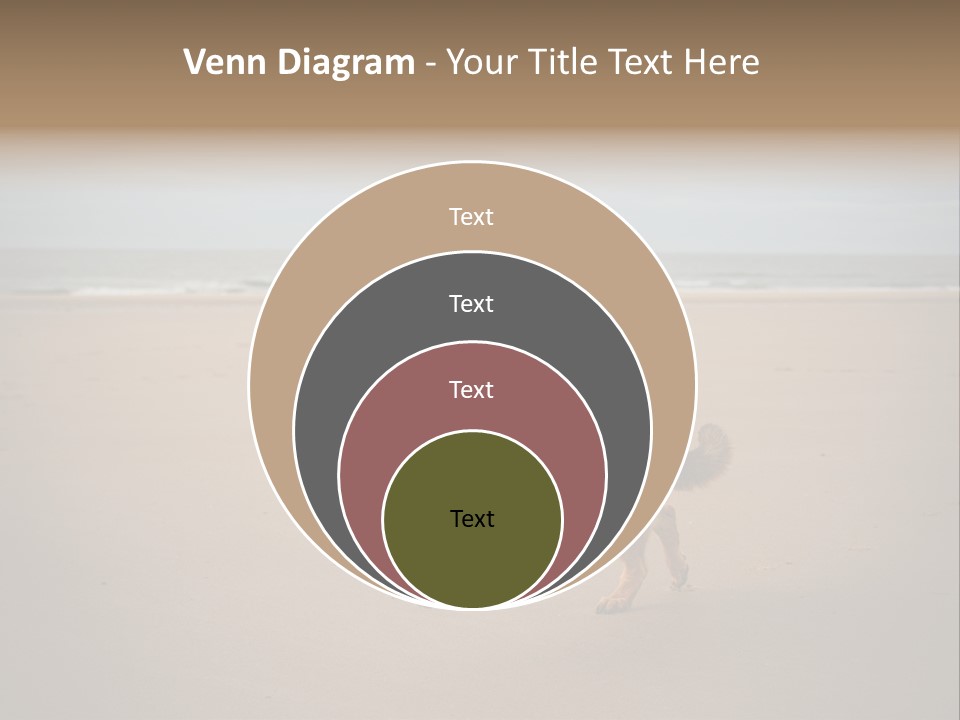 Shepherd Dog Dog Portrait At The Beach Labradoodle PowerPoint Template