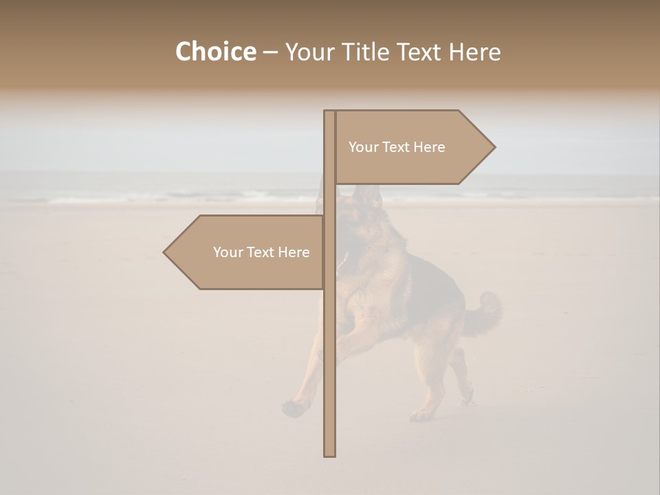 Shepherd Dog Dog Portrait At The Beach Labradoodle PowerPoint Template