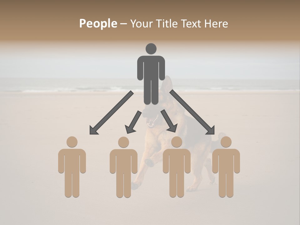 Shepherd Dog Dog Portrait At The Beach Labradoodle PowerPoint Template