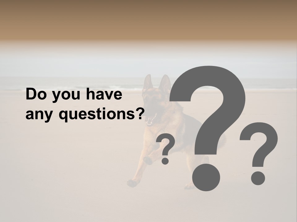 Shepherd Dog Dog Portrait At The Beach Labradoodle PowerPoint Template