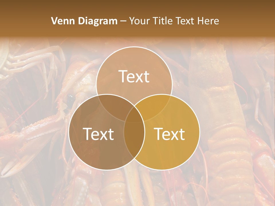 Closeup Cooked Clip PowerPoint Template