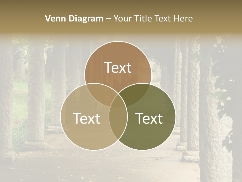 Walkway Chairs Wrought Iron PowerPoint Template