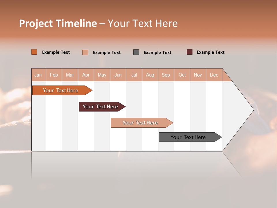 Preparation Appetizing Macro PowerPoint Template