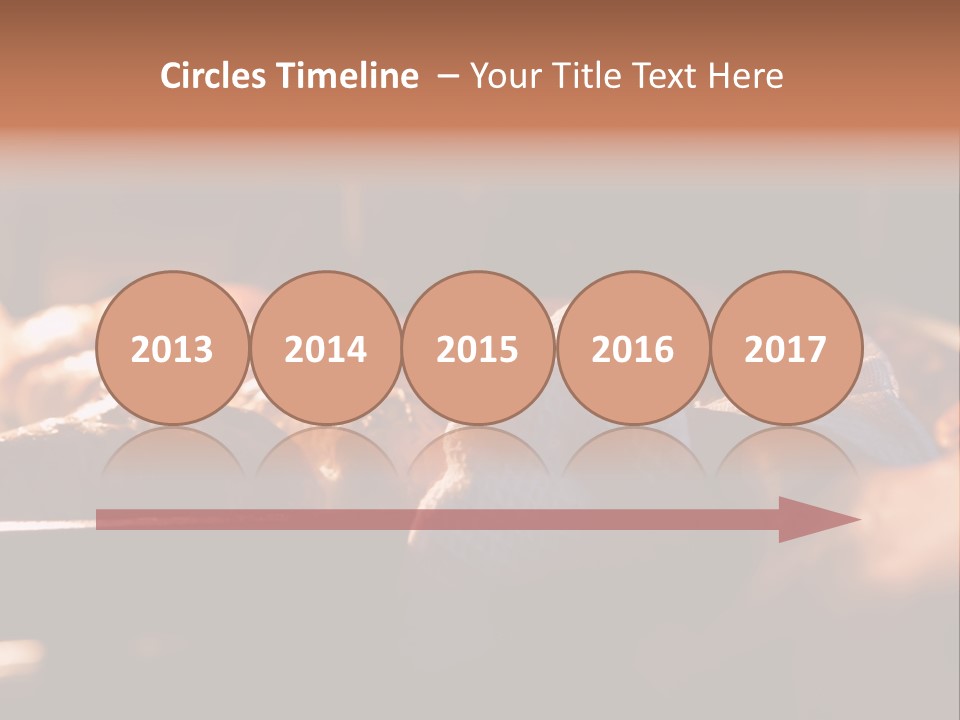 Preparation Appetizing Macro PowerPoint Template