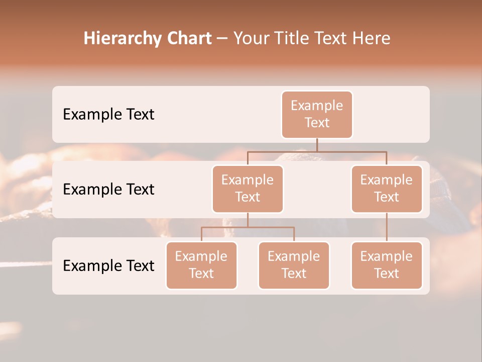 Preparation Appetizing Macro PowerPoint Template