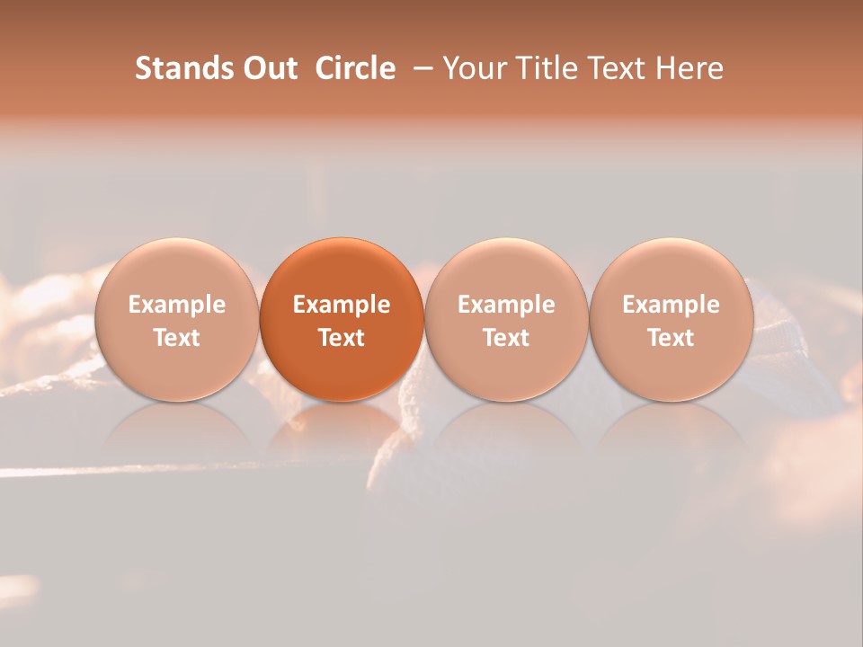 Preparation Appetizing Macro PowerPoint Template