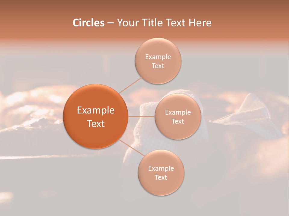 Preparation Appetizing Macro PowerPoint Template