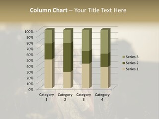 Spring Wind Wise PowerPoint Template