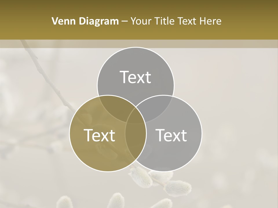 Downy Gemma Sign PowerPoint Template