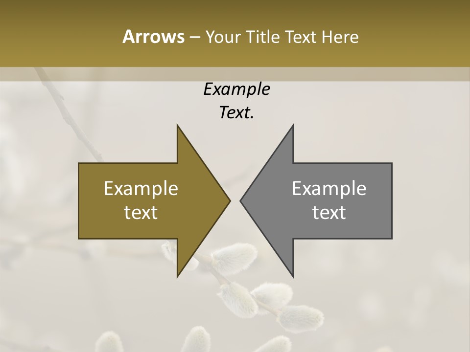 Downy Gemma Sign PowerPoint Template