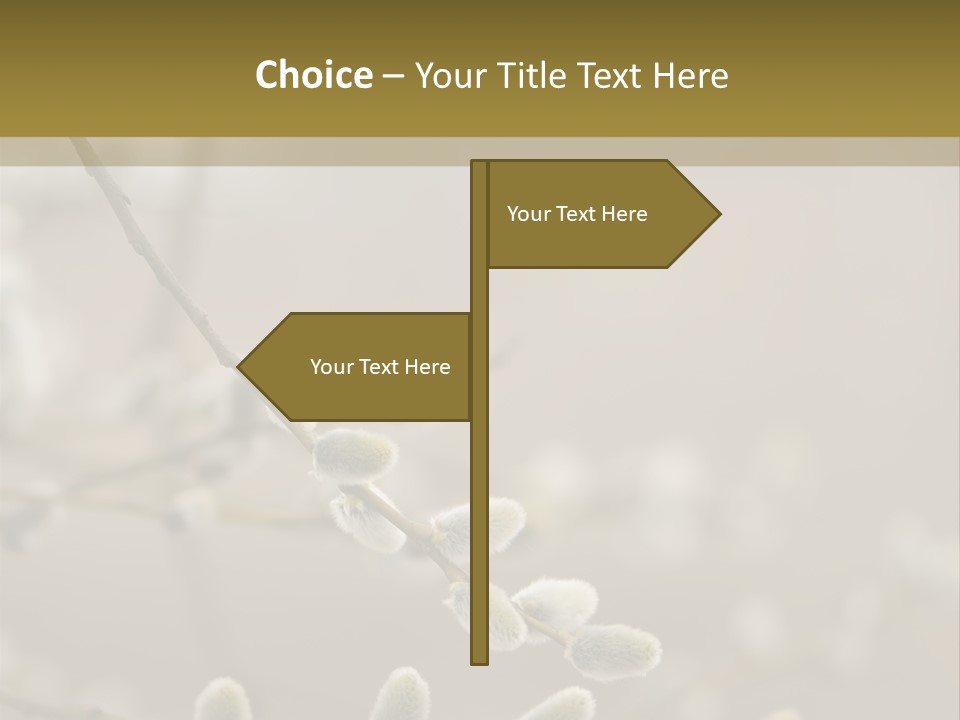 Downy Gemma Sign PowerPoint Template