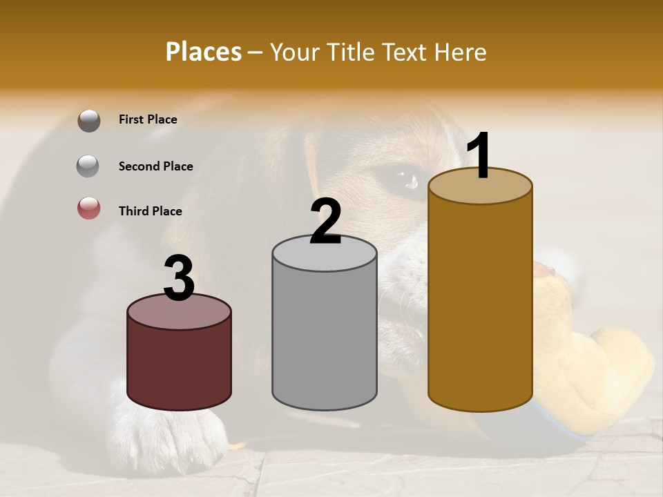 Little Young Purebred PowerPoint Template