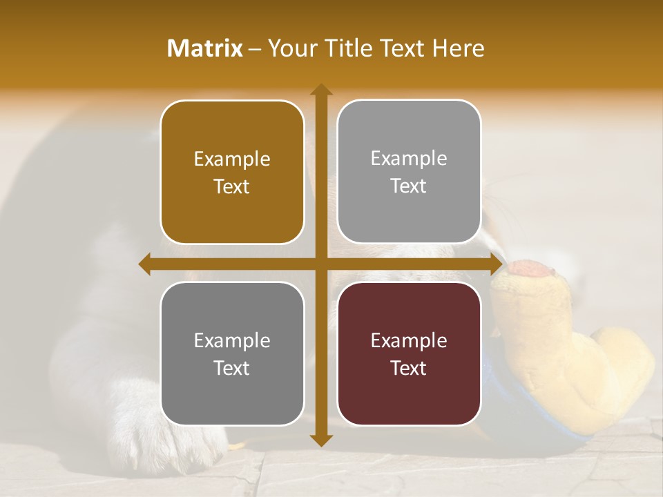 Little Young Purebred PowerPoint Template