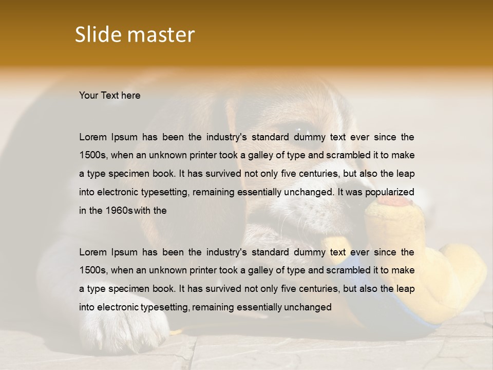 Little Young Purebred PowerPoint Template