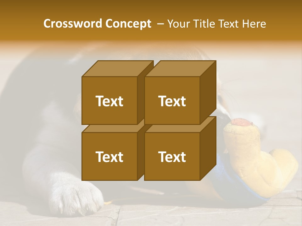 Little Young Purebred PowerPoint Template