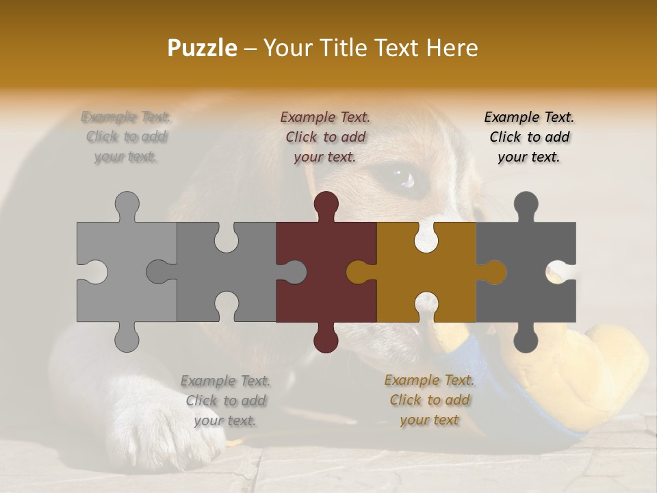 Little Young Purebred PowerPoint Template