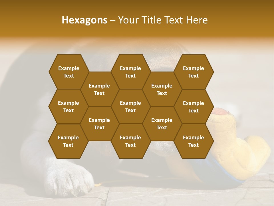 Little Young Purebred PowerPoint Template