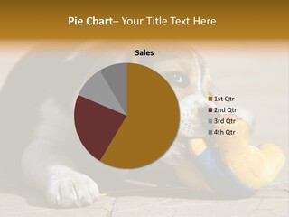 Little Young Purebred PowerPoint Template