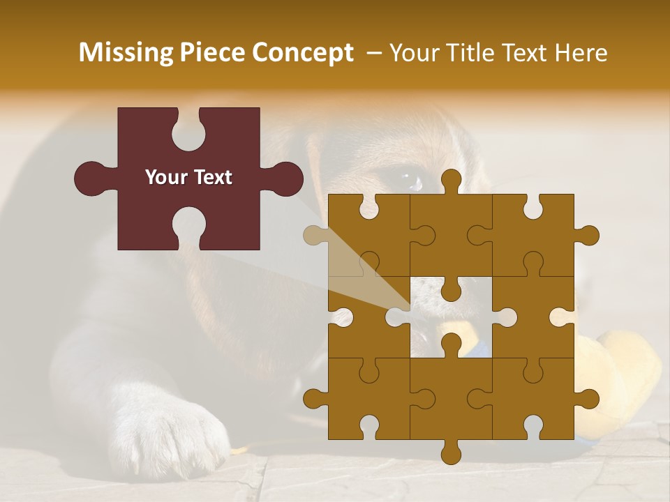 Little Young Purebred PowerPoint Template