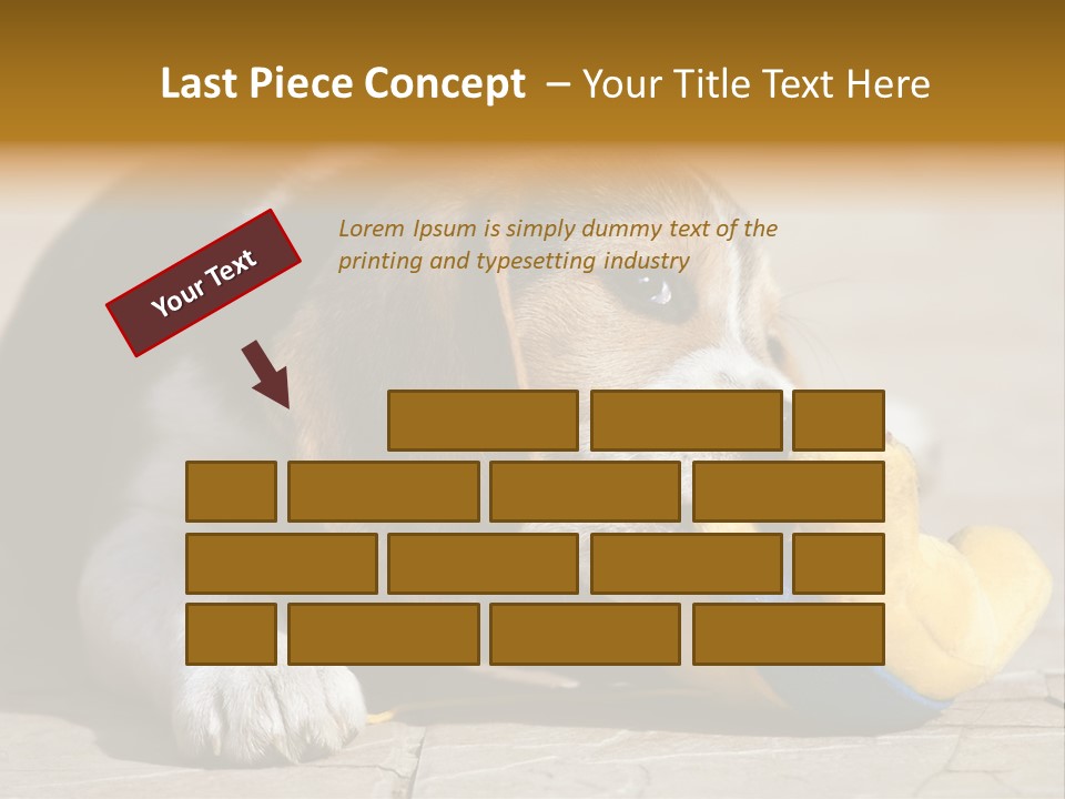 Little Young Purebred PowerPoint Template