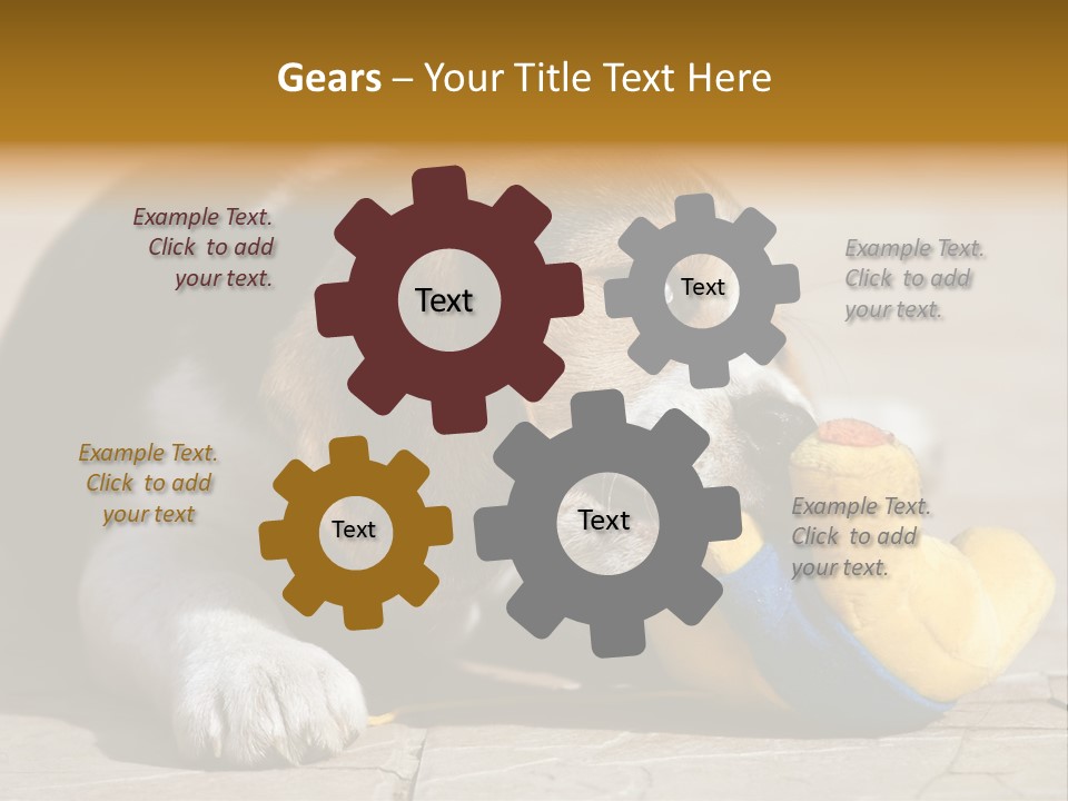 Little Young Purebred PowerPoint Template