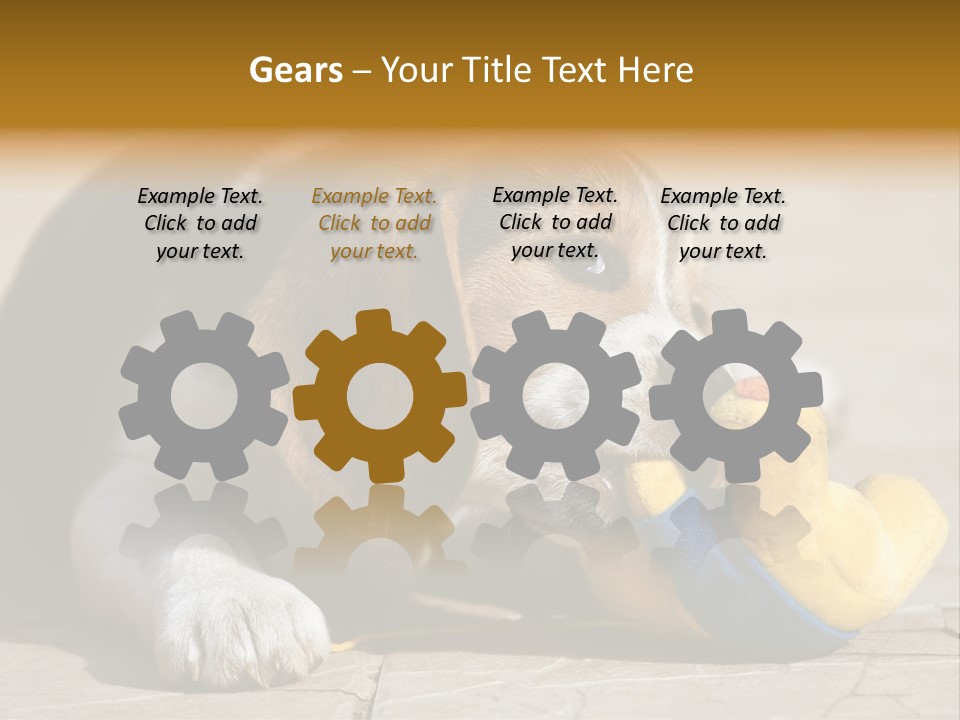 Little Young Purebred PowerPoint Template